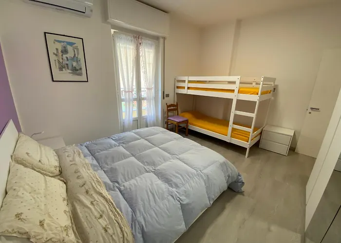 Corso Dante's Paradise Purple - Exclusive In